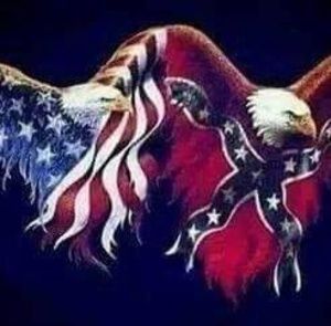 Meet your Posher, Mickey